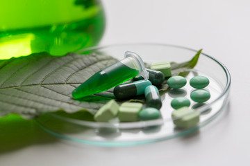 Science Research leaves of Mitragyna speciosa (kratom) and Chemical analysis  in Lab.