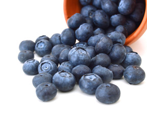 fresh blueberries on white