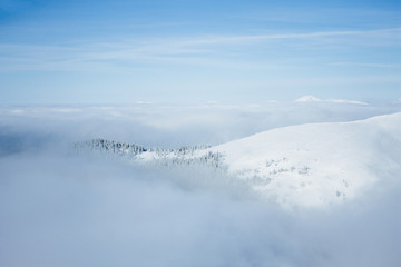 Gorgany mountains snowy forest landscape