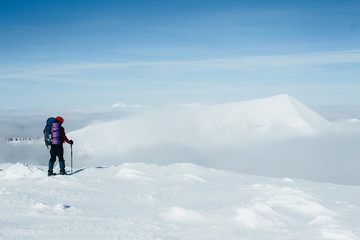 Fototapeta na wymiar Climber admiring scenic view of snowy Gorgany mountains
