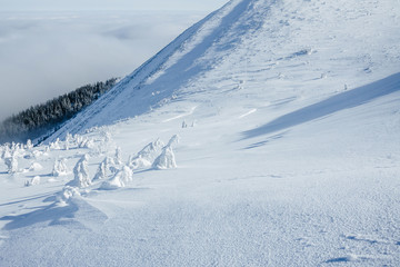 Freezing snowy winter landscape of Gorgany mountains