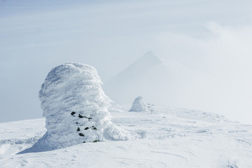 Freezing snowy winter landscape of Carpathian mountains