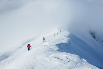 Naklejka na ściany i meble Chain of climbers walking in Gorgany mountains