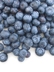 Blueberries on white background