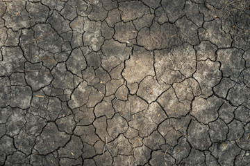 crack dry ground on spot light texture background