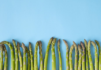 Fresh  raw asparagus on light blue background, copy space