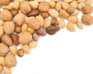 Mixed nut selection of Brazil, almond, walnut and hazelnut.