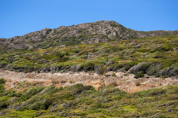 Fototapeta na wymiar Corsica, 04/09/2017: il paesaggio rilassante con prati verdi, cespugli e montagne nell'entroterra sud dell'isola lungo la strada per Bonifacio