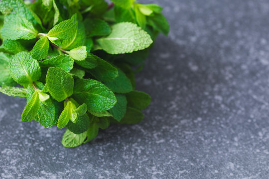 Fresh mint. Bunch of Fresh green organic mint leaf on grey stone background.