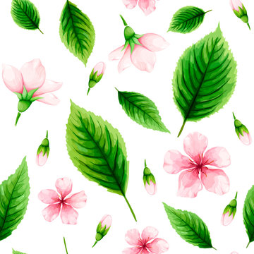 Seamless pattern of pink cherry flowers and green leaves on white background. Spring watercolor