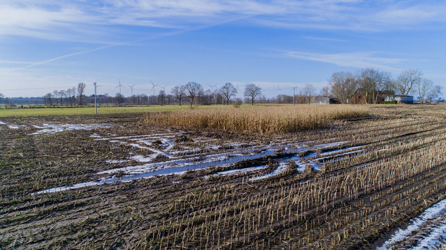 Luftaufnahme vom Maisfeld nach einer Regenzeit