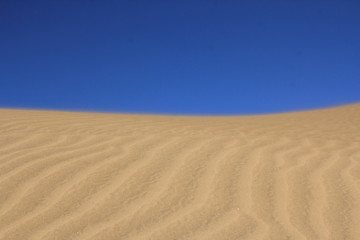 Blue and yellow in desert
