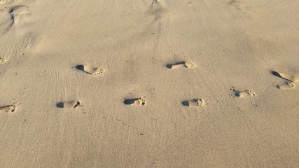 Children's footprints in the sand