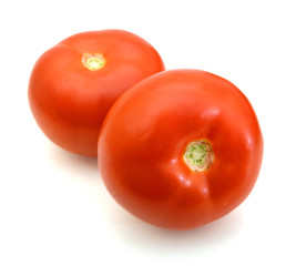 Closeup of tomatoes on the vine isolated on white