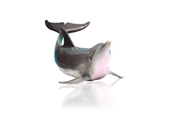 Bottlenose dolphin on white isolated background