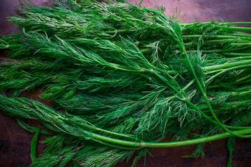 Fresh juicy green dill - fennel on a dark background