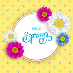 Fototapeta na wymiar Daisy Flower Background and Spring Hand Lettering. Vector Illustration