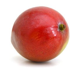 Mango fruit isolated on white background. Clipping Path