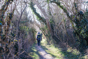 Fototapeta premium marche nordique au féminin