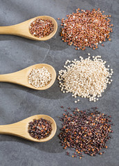 Seeds of white, red and black quinoa - Chenopodium quinoa