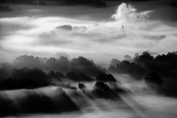 Bäume im Nebel - Schwarz-Weiß-Foto