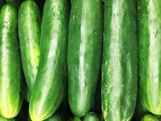 cucumber,cucumbers,garden fresh vegetable