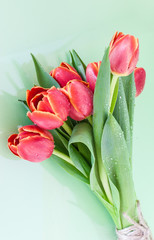 Fototapeta premium Bouquet of red tulips on a light background. A holiday card.