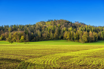 Beautiful field farm countryside and blue sky