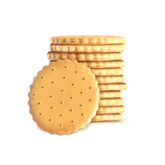 Vector stack of round biscuit cookies. Template, mockup for tasty crackers isolated on white background. Healthy sweets, dessert, whole wheat biscuit in realistic style.