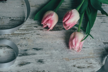 tulips pink on a wooden gray texture with ribbon