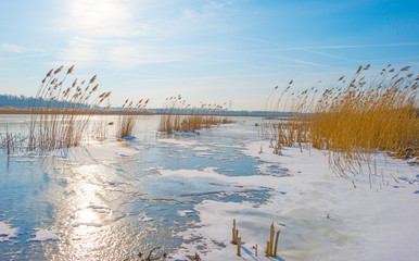 The edge of a frozen pond in sunlight in winter
