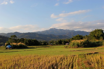 field and mountain