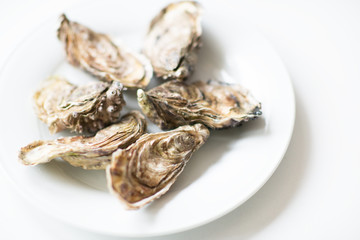Oysters. Raw fresh oysters are on white round plate, image isolated, with soft focus. Restaurant delicacy.
