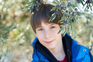 Handsome boy posing in olive trees garden. Kid's portrain over mediterranean olive field ready for harvest. Smiling teen boy in spanish olive's grove with ripe fresh olives.