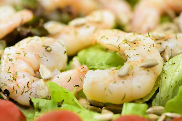 Frischer Garnelensalat mit Tomaten und Blattsalat
