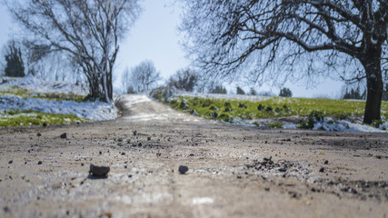 Detail of a dirt road in a city park during a beautiful sunny day. There is a tree with dry branches along the way and pebbles on the mud. All around is covered by snow. The sky is clear.