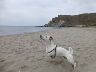 Las playas de Mónsul y Media Luna (Cabo de Gata-Nijar)  en San José, Andalucía (España)