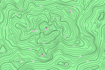 TOPOGRAPHIC ALTITUDE LINE MAP WITH ATTRACTION POINT. SEAMLESS VECTOR PATTERN