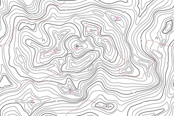 TOPOGRAPHIC ALTITUDE LINE MAP WITH ATTRACTION POINT. SEAMLESS VECTOR PATTERN - 194621542