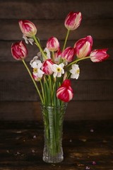 Bouquet of fresh spring bicolor purple tulips in glass vase. Dark background, close up, shallow DOF on the big flower. Spring flowers, tulips bunch