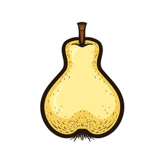 Hand drawn colored sketch fruit pear isolated