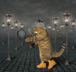 The cat detective with a smoking pipe and a magnifying glass is walking down the street. 