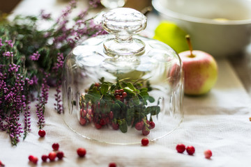 Wild cowberry on kitchen table