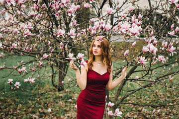 Beautiful girl in the flowering cherry blossom. In a burgundy dress with beautiful hair and makeup