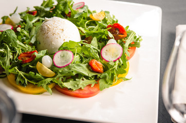 Mozzarella salad with radish