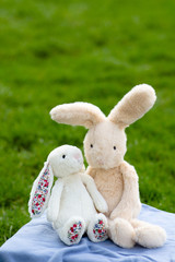 Two stuffed bunnies on picnic blanket