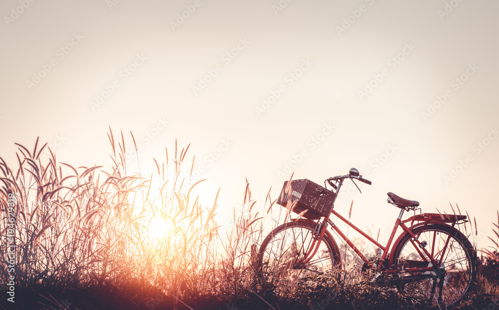 Wall mural beautiful landscape image with bicycle at sunset on glass field meadow ; summer or spring season bac