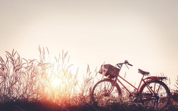 beautiful landscape image with Bicycle at sunset on glass field meadow ; summer or spring season background