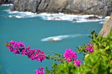 Cinque terre