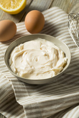 Healthy Organic Homemade Mayonnaise